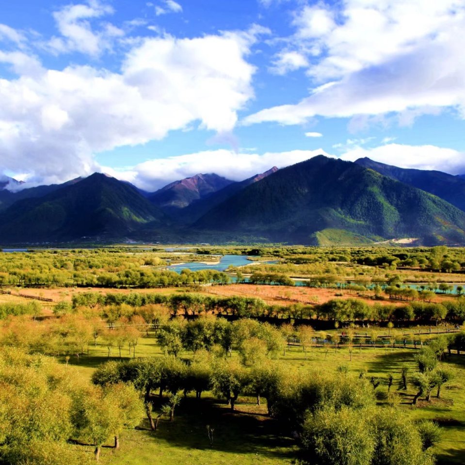 林芝尼洋河景區(qū)包車(chē)游(圖文)
